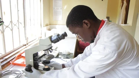 Studying a specimen under the microscope 스톡 동영상 126303044