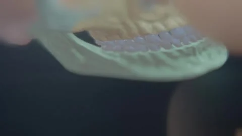 Studying the structure of human skull in app on smartphone Video stock 292402071