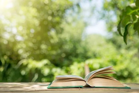 Studying in summer concept. Open book on a wooden table in a garden, sunny su Foto stock