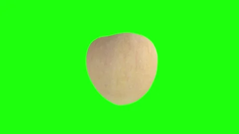 Studying a white apple's features on a green backdrop Stock Footage 292682165