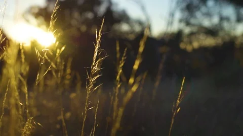 Stuff dreams are made of 動画素材 87007499