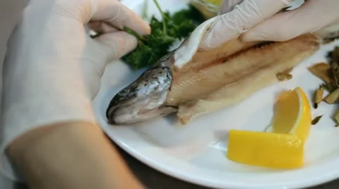 Stuff fish Vídeo Stock 12140550