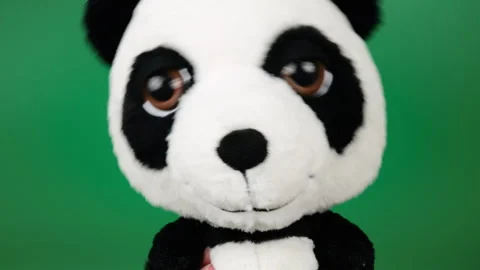 Stuffed and fluffy plush toy panda bear playing and dancing on green background. Stock Footage 276729477