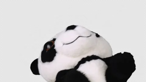 Stuffed and fluffy plush toy panda bear playing and dancing. Alpha channel  Stock Footage 276844509
