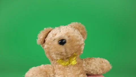 Stuffed And Fluffy Teddy Toy Brown Bear  