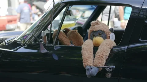 Stuffed animal Monkey hanging out of Classic Car window 4K Stock-Footage 249362058