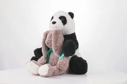 Stuffed animals Stock Footage 271369546