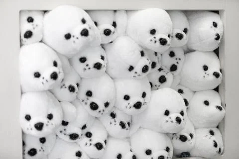 Stuffed Animals Stock Photos