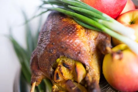 Stuffed baked duck Foto stock