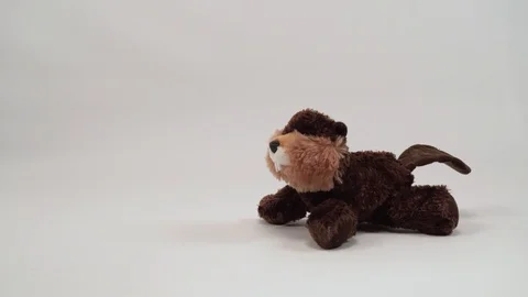 Stuffed Beaver with a Raincoat in its Butt Stock Footage 125347275