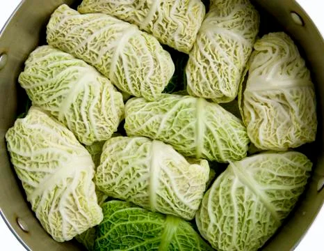 Stuffed cabbage Stock Photos