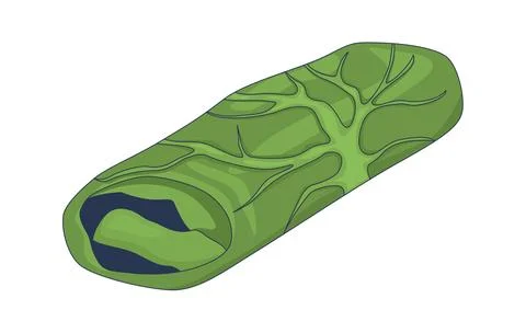 Stuffed cabbage roll 2D cartoon object Illustrazione stock