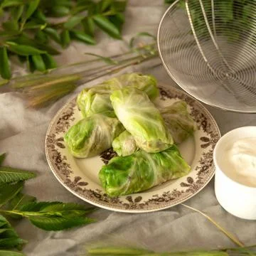 Stuffed cabbage rolls with meat. Side view of uncooked cabbage rolls in plate on Stock Photos