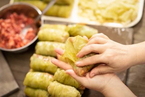Stuffed cabbage rolls, preparing Stock Photos