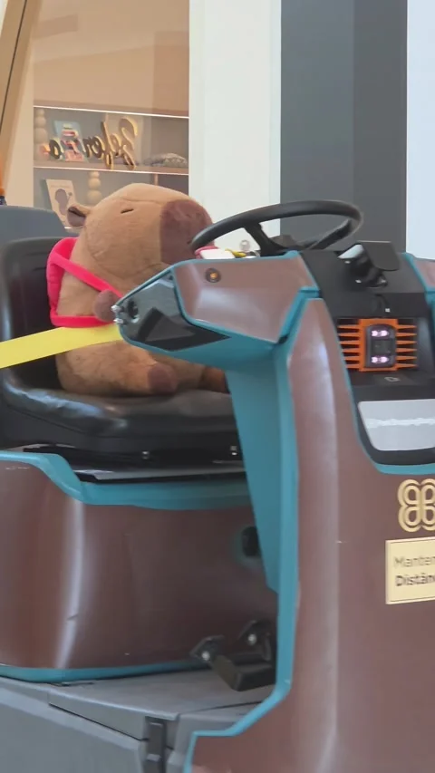 Stuffed Capybara With A Backpack Drives Cleaning Cart, Curitiba, Parana, Brazil  Stock-Footage 324981544