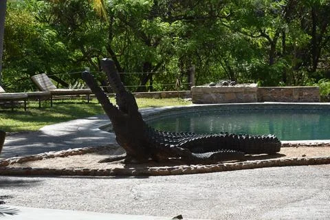 Stuffed Crocodile at a pool Stock Photos