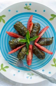 Stuffed dock leaves Stock Photos