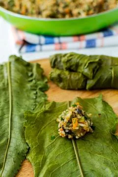 Stuffed dock leaves Stock Photos