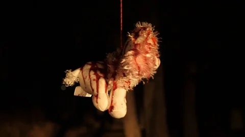 Stuffed Dog Hanging by the Leash 库存影片 96444379