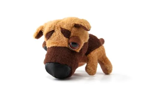 Stuffed dog 写真素材