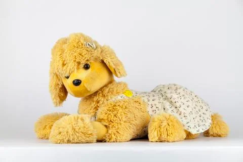 Stuffed dog Foto stock