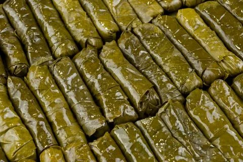Stuffed dolmas Stock Photos
