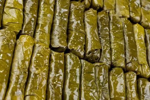 Stuffed dolmas Stock Photos