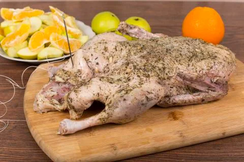 Stuffed duck Stock-Fotos