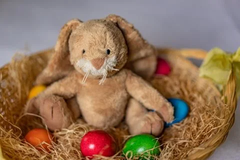 Stuffed easter bunny in hay basket and eggs. Stock Photos