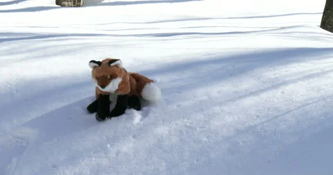 Stuffed fox on snow on a trail Video stock 49052602