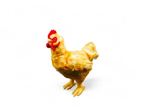 Stuffed hen on a white background Stock Photos