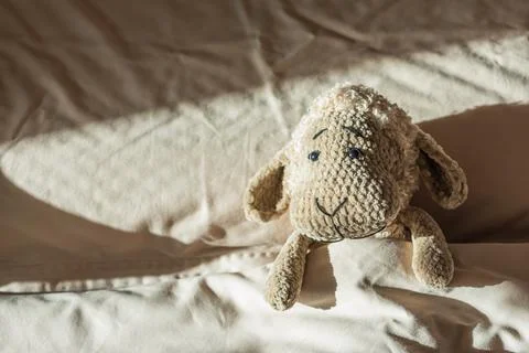 Stuffed lamb toy resting on soft bed sheets at sunrise Stock Photos