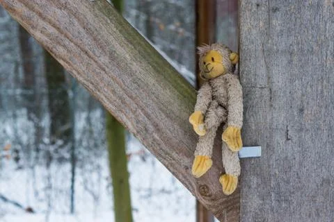 Stuffed monkey outside between some wooden beams during winter, adorable cudd Stock Photos