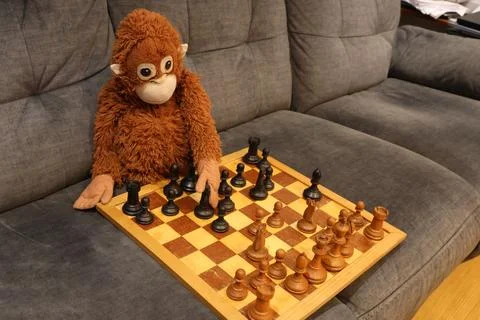 A stuffed monkey is playing a game of chess on a wooden board Stock Photos