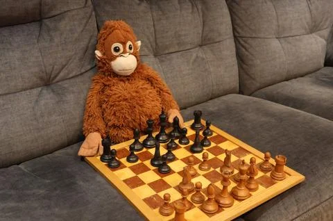 A stuffed monkey is playing a game of chess on a wooden board Stock Photos