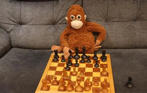 A stuffed monkey is playing a game of chess on a wooden board Stock Photos