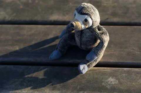 Stuffed Monkey Toy on Bench Stock Photos