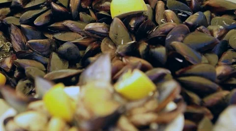 Stuffed Mussels with Lemon Stock Footage 55768503