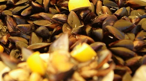 Stuffed Mussels with Lemon Stock Footage 55769646