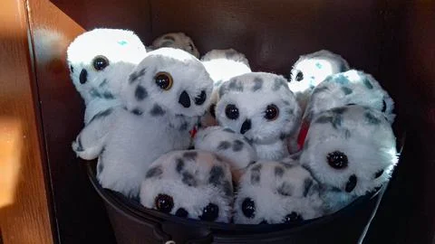 Stuffed owls ready to be given to children Stock Photos