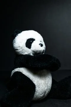 Stuffed panda bear Stock Photos
