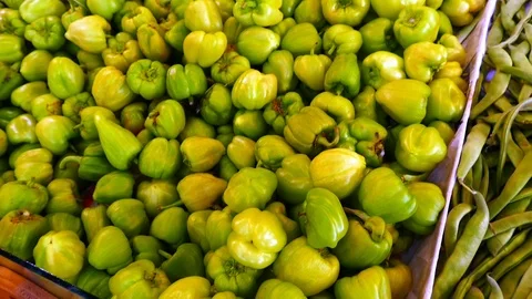 Stuffed pepper in the grocery store Stock Footage 91264269