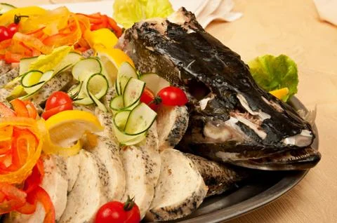 Stuffed pike with head Stockfoto's