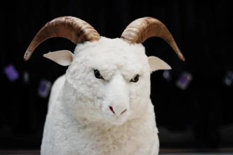 Stuffed ram. Stock Photos