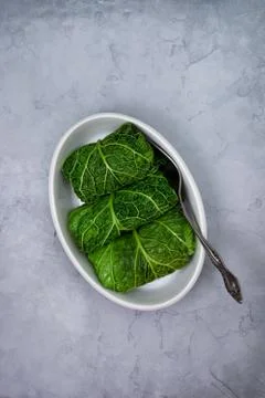 Stuffed savoy cabbage Stock Photos