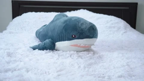 Stuffed shark is lying on a white bed sheet Stock Footage 140908639