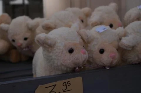Stuffed sheep Stock Photos