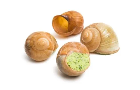 Stuffed snail isolated Stock Photos