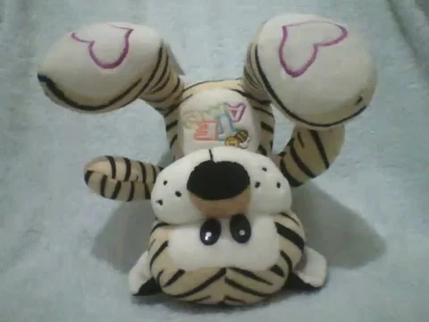 Stuffed tiger stays upside down, it lost the track of gravity! Stock Footage 162146585