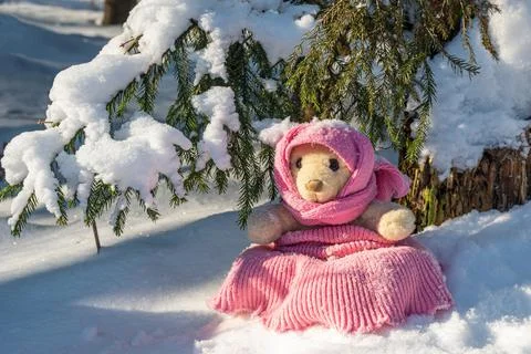 A stuffed toy teddy bear wearing a scarf and a hat sits on snow in the winter Stock Photos